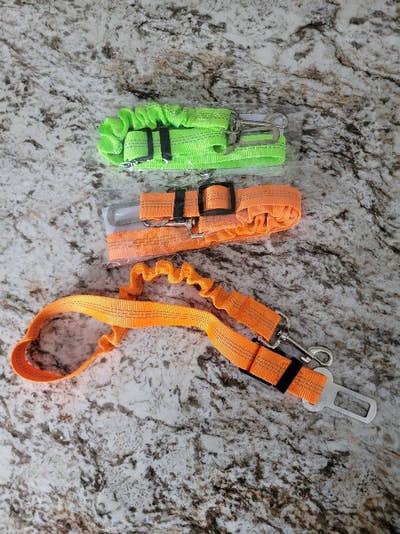 Ceintures pour chien vertes et orange sur un plan de travail