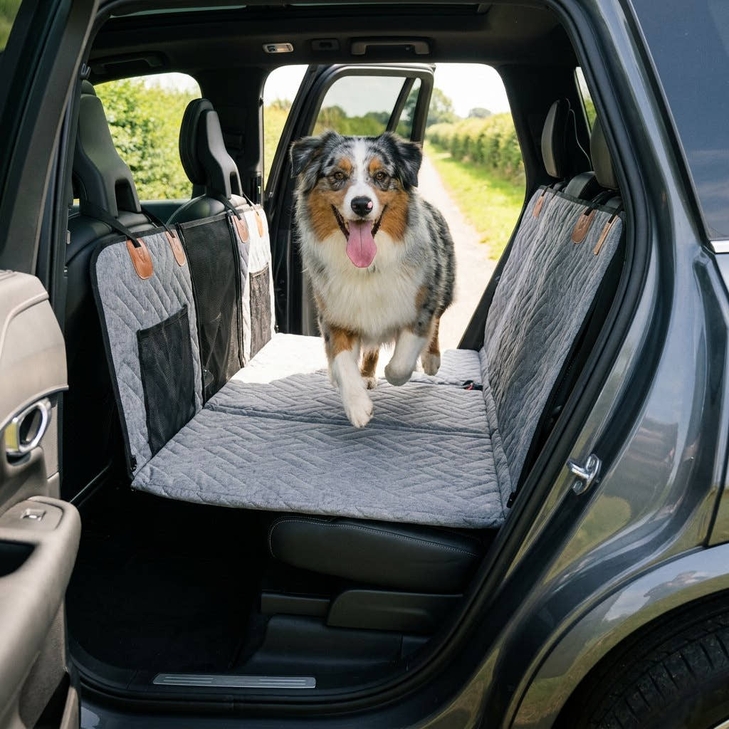 Berger australien avançant sur la housse de voiture pour chien à fond rigide Yzavo, déployée à plat entre les portières