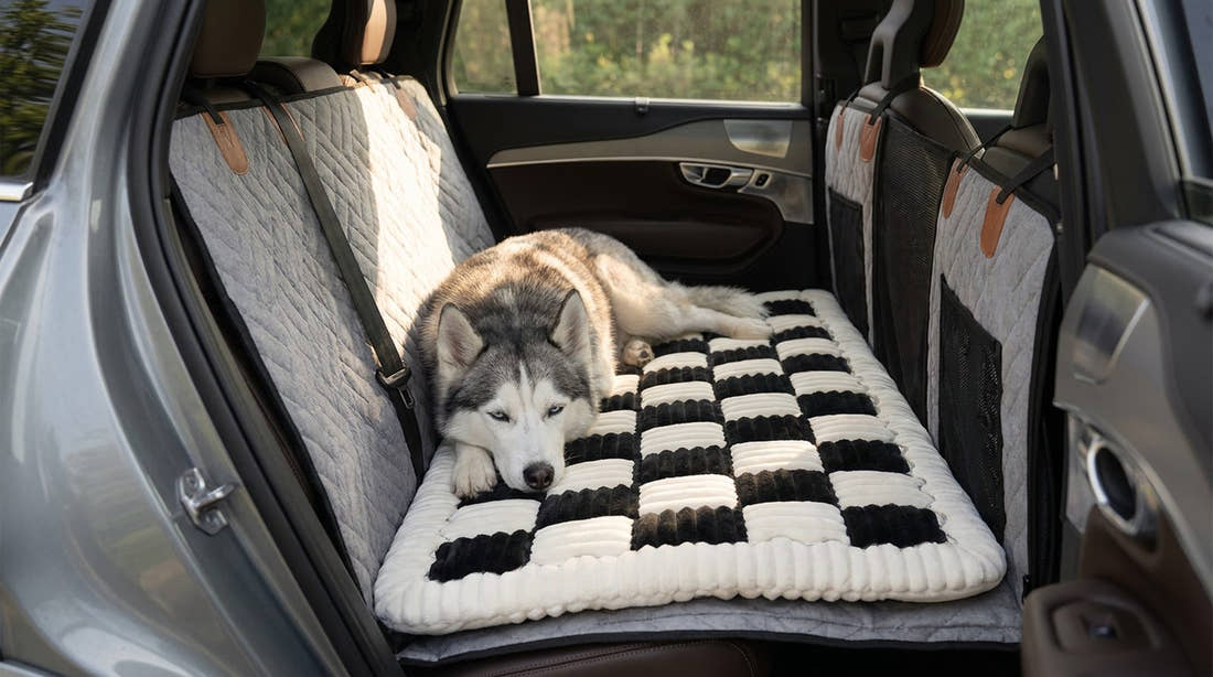 Husky couché sur le tapis voiture pour chien rembourré, posé sur la banquette arrière d'une voiture