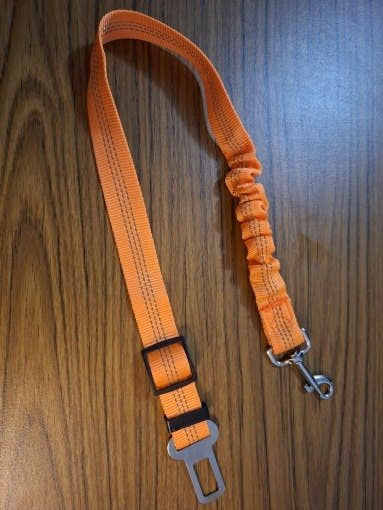 Ceinture pour chien orange posée sur un parquet
