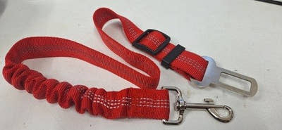 Ceinture pour chien rouge, embout et mousqueton visibles