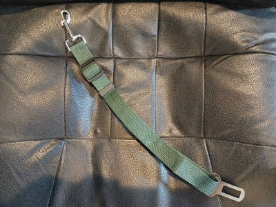 Ceinture pour chien posée sur une banquette en cuir