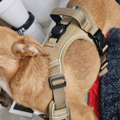 Photo d'un client, harnais anti-traction pour chien Yzavo