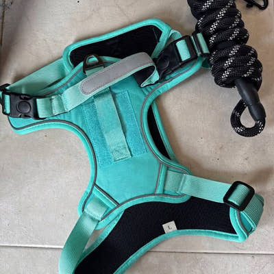 Photo d'un client, harnais anti-traction pour chien Yzavo