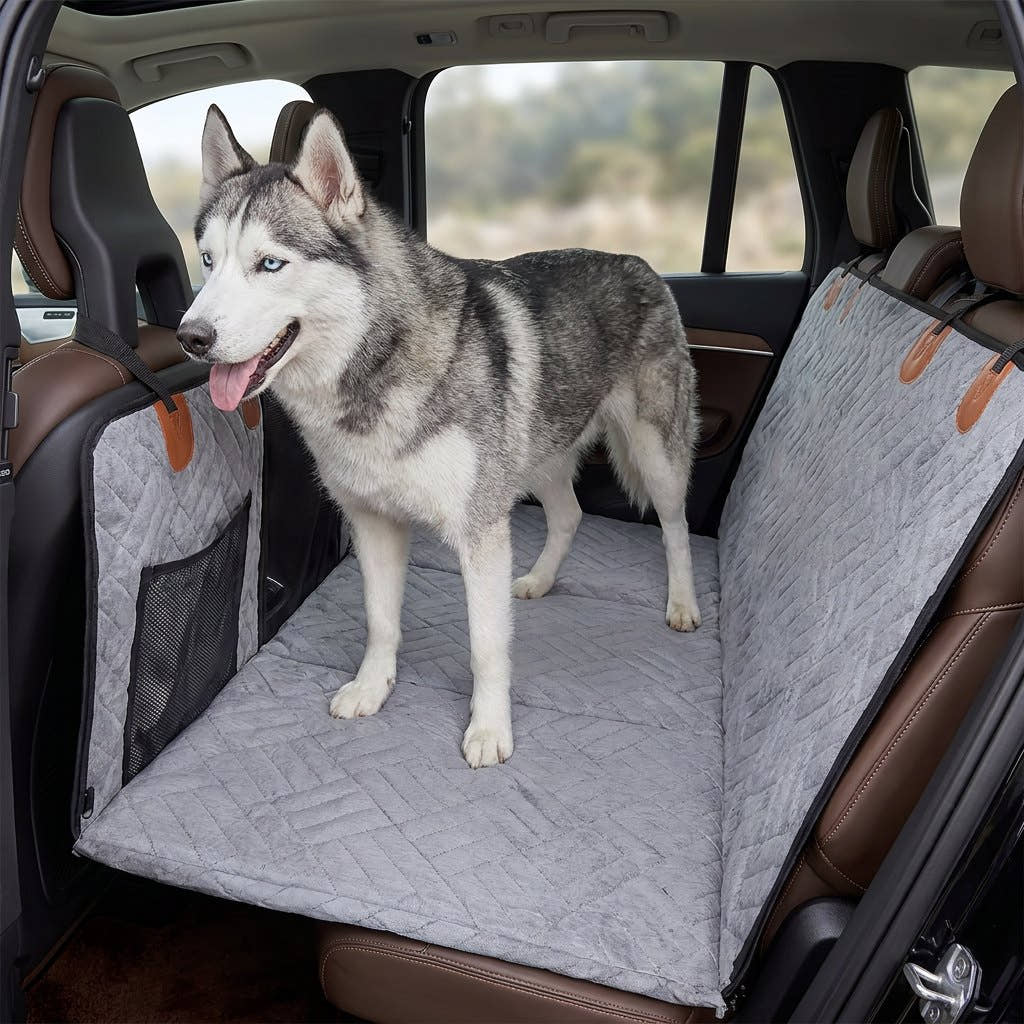 Husky debout sur la banquette arrière, libre de passer à l'avant