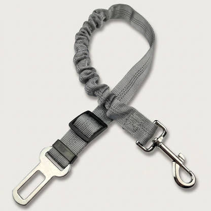 Ceinture de sécurité pour chien Yzavo, coloris gris