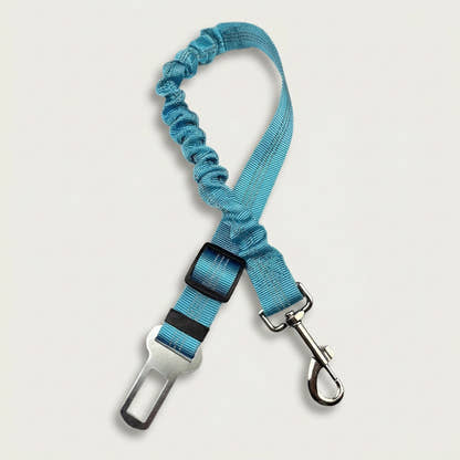 Ceinture de sécurité pour chien Yzavo, coloris turquoise