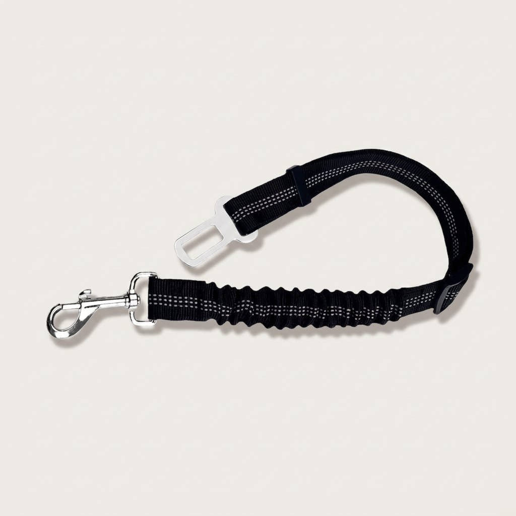 Ceinture pour chien Yzavo, partie élastique et bandes réfléchissantes