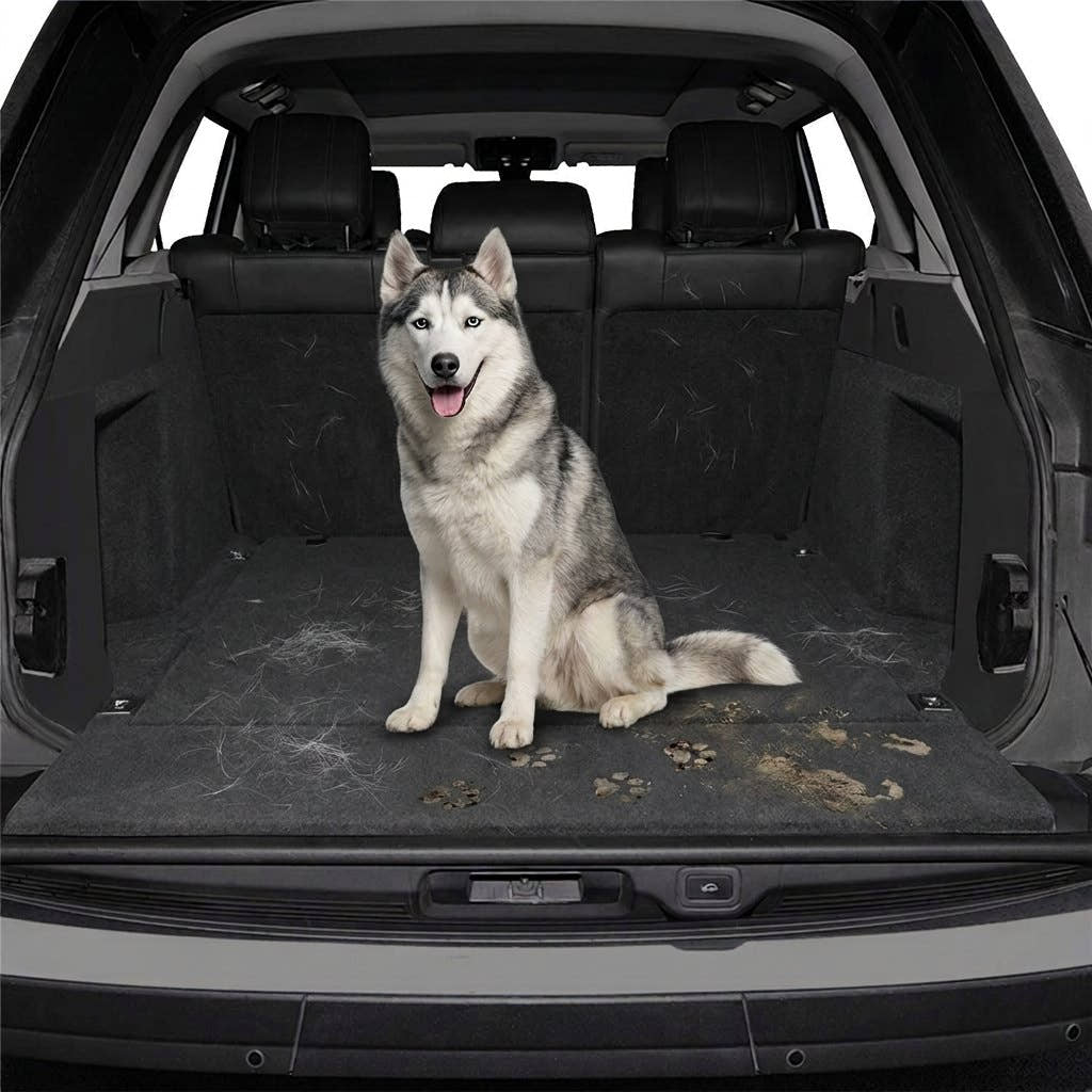 Husky assis sur la moquette du coffre, couverte de poils et de traces de pattes