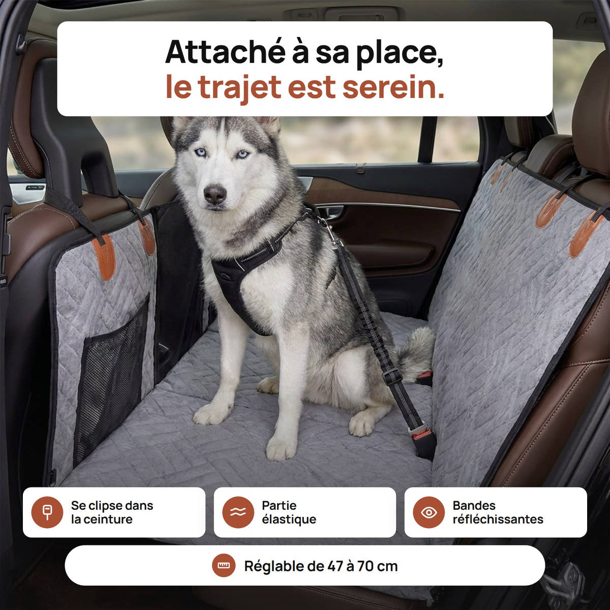 Husky assis sur la banquette arrière, attaché par la ceinture de sécurité pour chien Yzavo