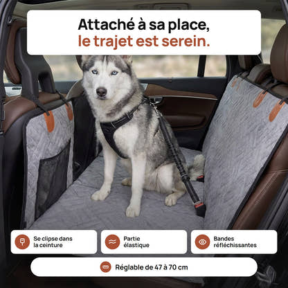 Husky assis sur la banquette arrière, attaché par la ceinture de sécurité pour chien Yzavo
