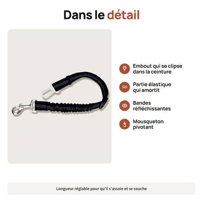 Ceinture de sécurité pour chien Yzavo, embout de ceinture, partie élastique et mousqueton