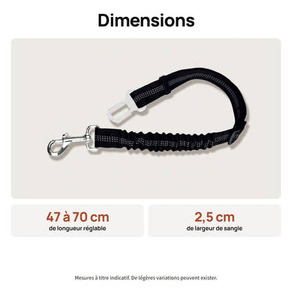 Dimensions de la ceinture pour chien Yzavo, réglable de 47 à 70 cm, 2,5 cm de large