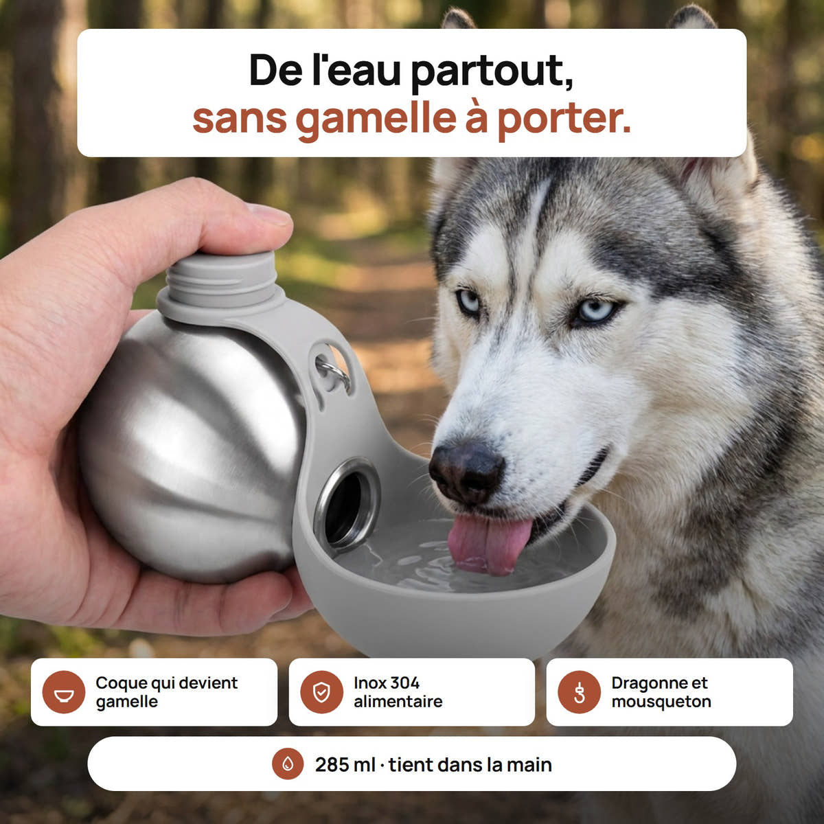 Husky qui boit dans la coque repliée de la gourde compacte Yzavo, en forêt