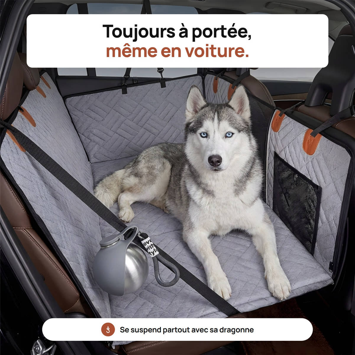 Gourde compacte Yzavo posée près d'un husky allongé sur la banquette arrière