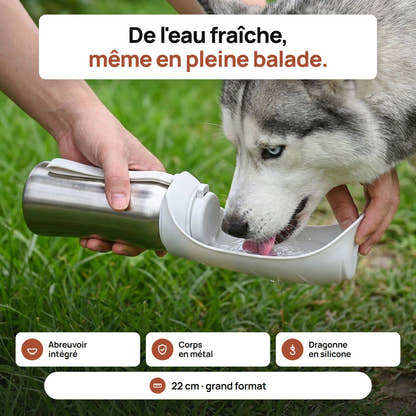 Husky qui boit dans l'abreuvoir déplié de la gourde grand format Yzavo, dans un parc
