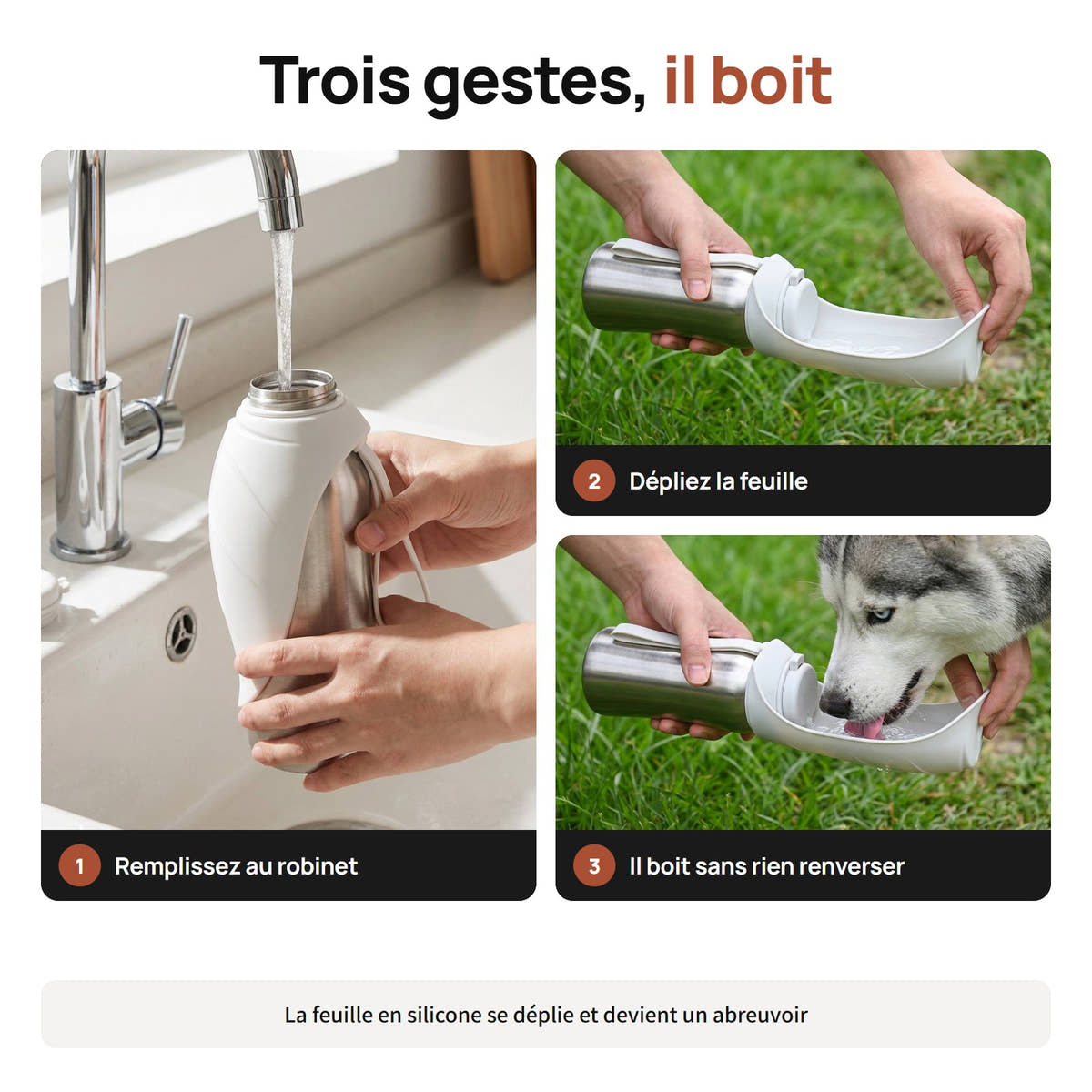 Remplir la gourde grand format, déplier la feuille en silicone, faire boire le chien