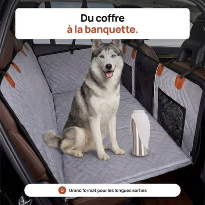 Gourde grand format Yzavo posée à côté d'un husky sur la banquette arrière