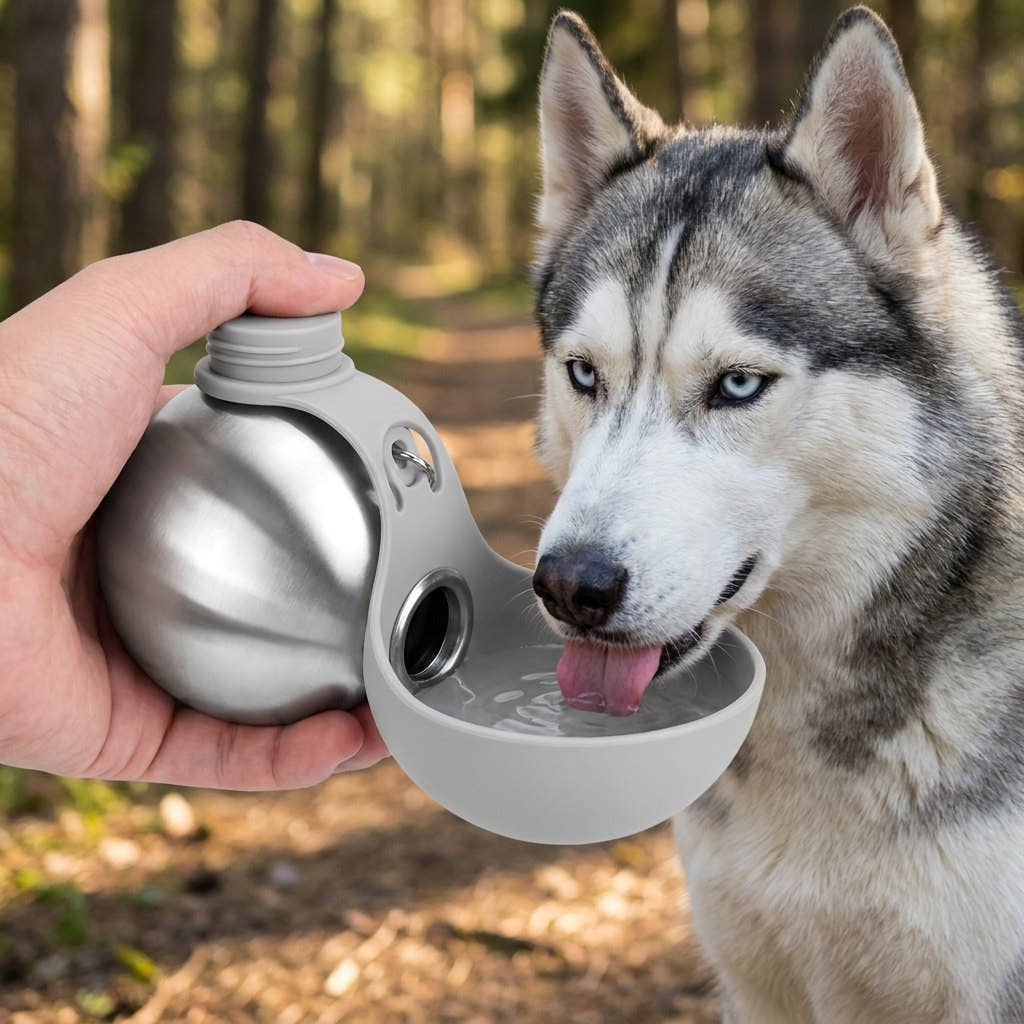 Le même husky qui boit dans la coque repliée de la gourde compacte Yzavo