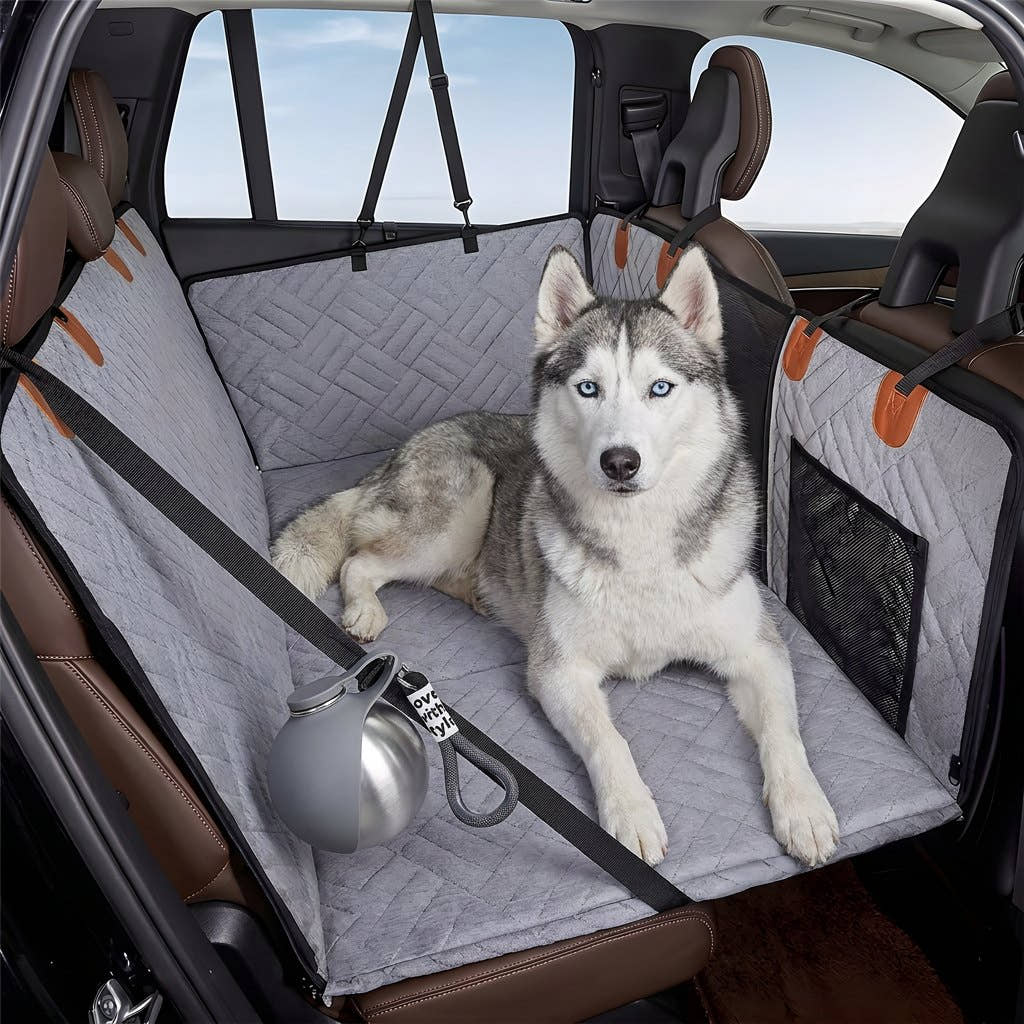 Gourde compacte Yzavo posée près d'un husky sur la banquette arrière