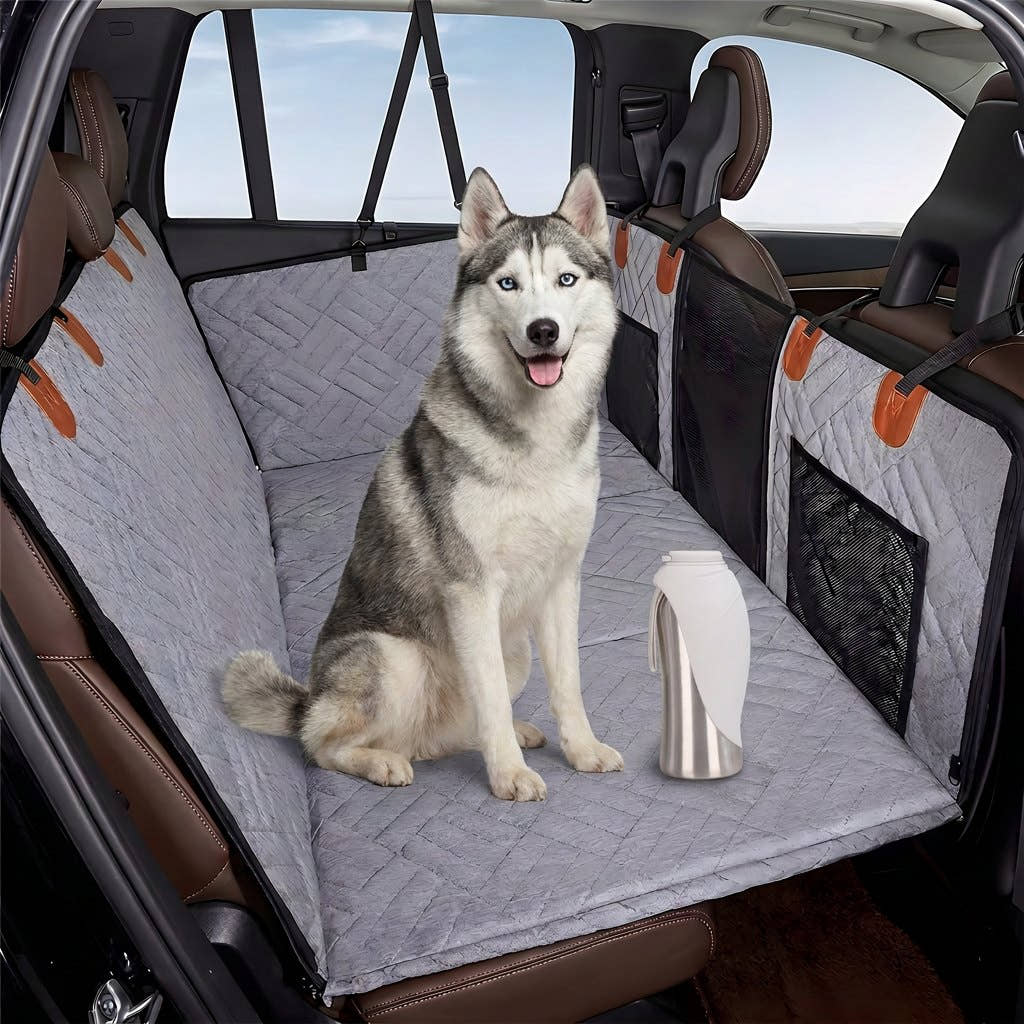Gourde grand format Yzavo posée à côté d'un husky sur la banquette