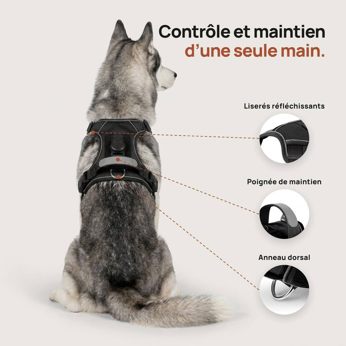 Détails du harnais Yzavo de dos, liserés réfléchissants, poignée de maintien et anneau dorsal