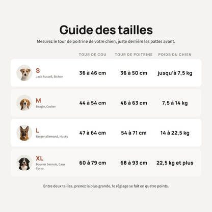 Guide des quatre tailles du harnais pour chien Yzavo, du S au XL