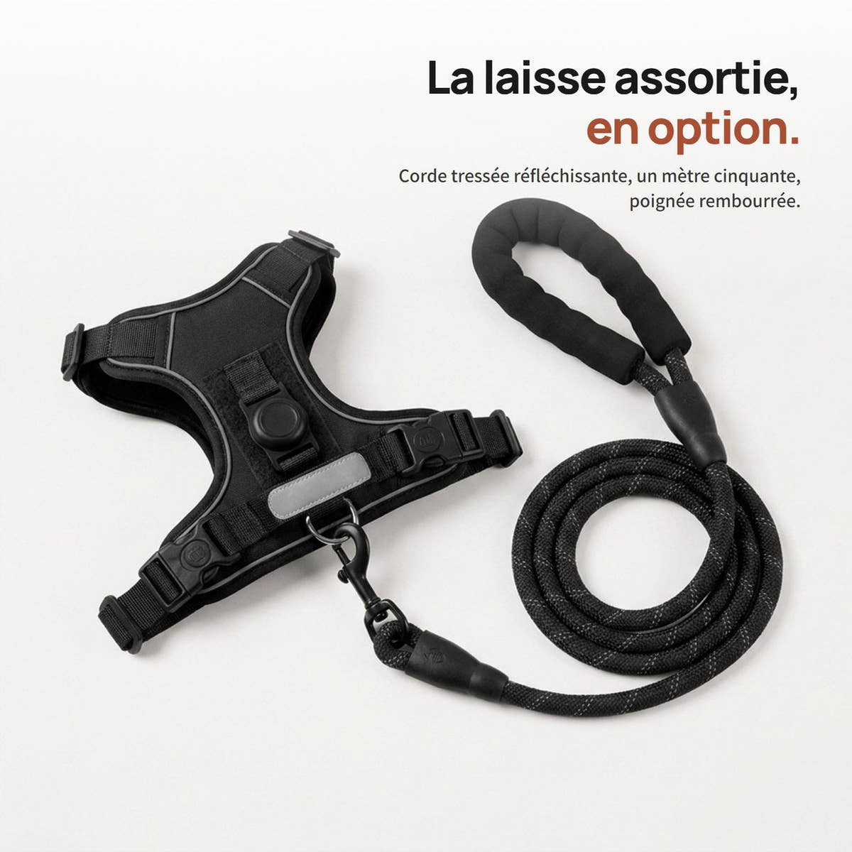 Harnais Yzavo et sa laisse assortie en corde tressée d'un mètre cinquante