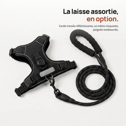 Harnais Yzavo et sa laisse assortie en corde tressée d'un mètre cinquante