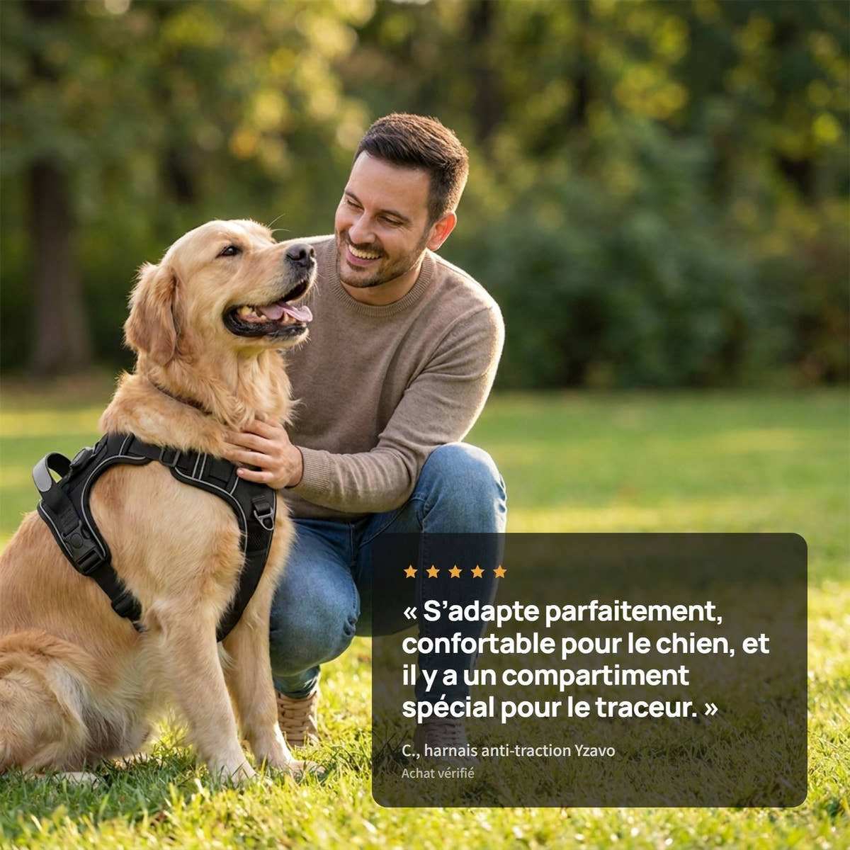 Client et son golden retriever équipé du harnais anti-traction Yzavo