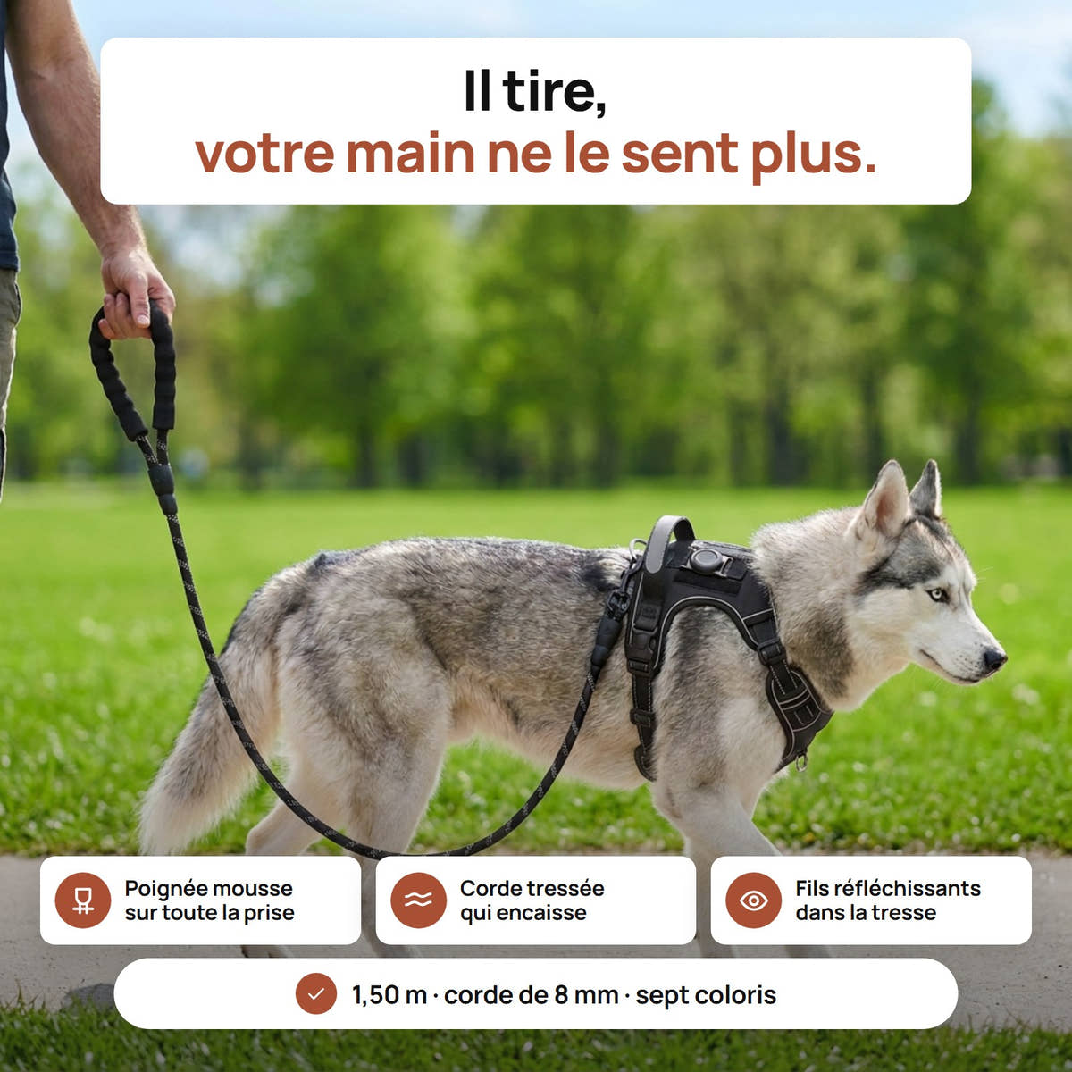 Husky tenu par la laisse en corde tressee Yzavo sur un chemin de parc borde de pelouse verte, poignee rembourree en main