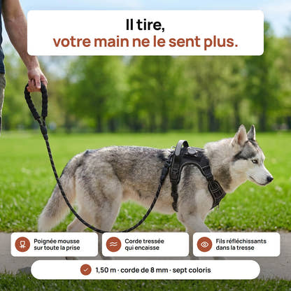 Husky tenu par la laisse en corde tressee Yzavo sur un chemin de parc borde de pelouse verte, poignee rembourree en main