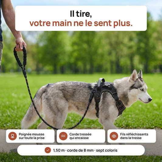 Husky tenu par la laisse en corde tressee Yzavo sur un chemin de parc borde de pelouse verte, poignee rembourree en main