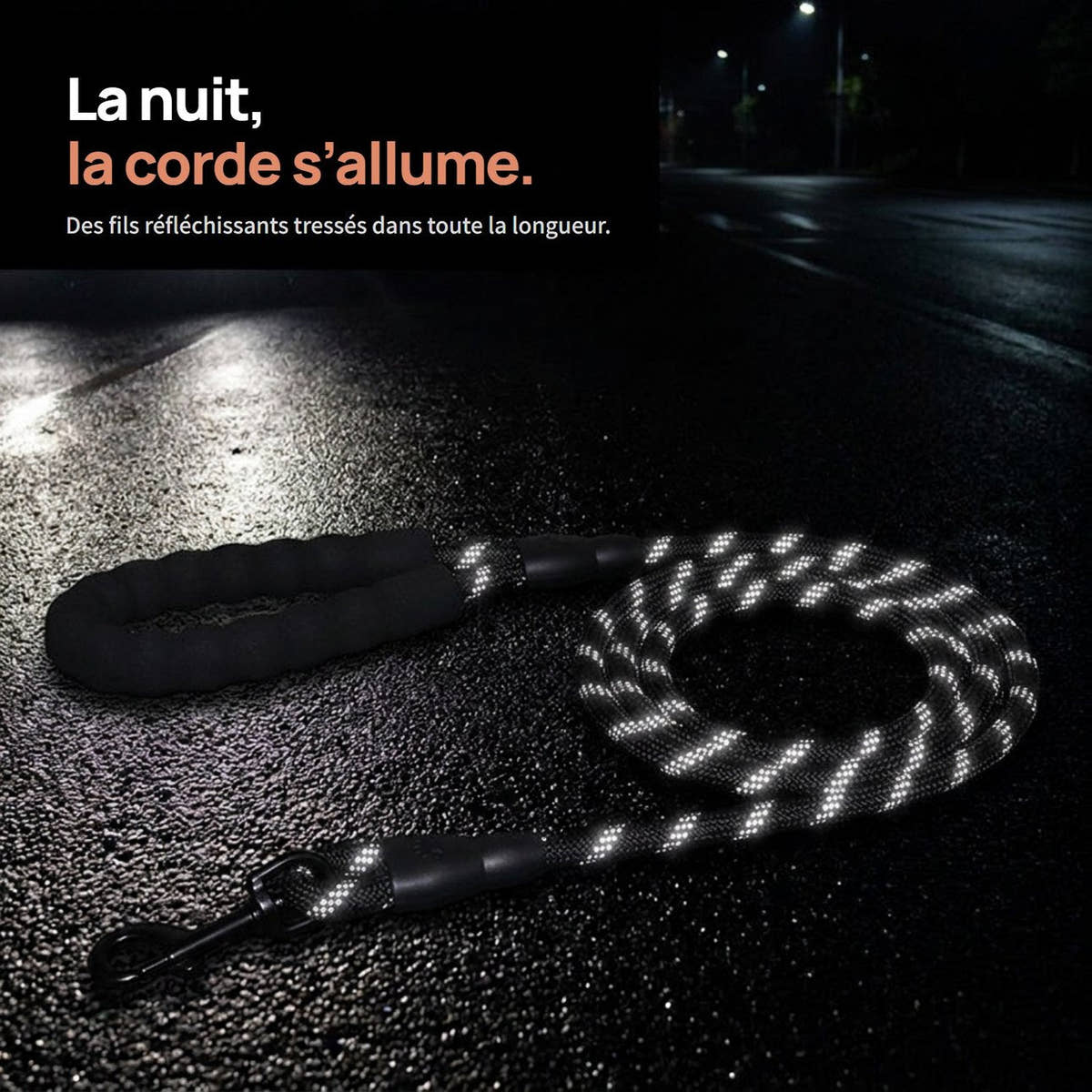 Fils réfléchissants de la laisse pour chien Yzavo éclairés la nuit