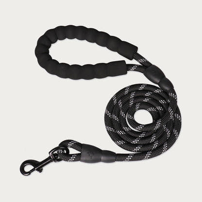 Laisse pour chien Yzavo, coloris noir