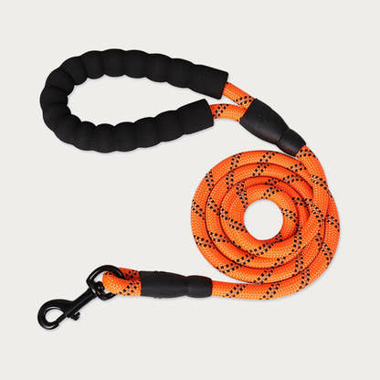 Laisse pour chien Yzavo, coloris orange