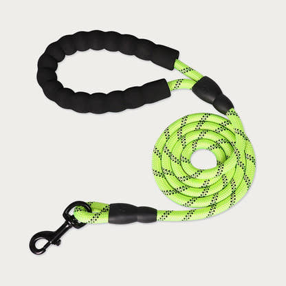 Laisse pour chien Yzavo, coloris vert émeraude