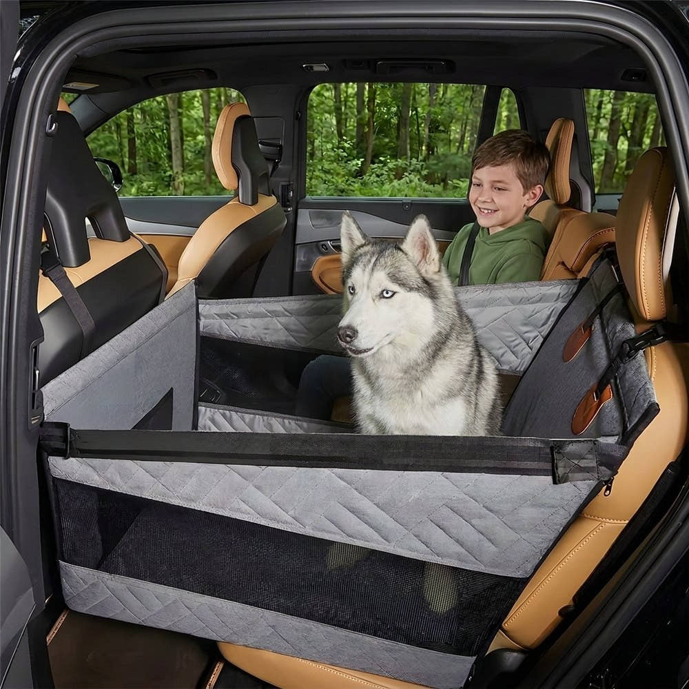 Un enfant assis sur la banquette arrière, juste à côté du husky installé dans le panier voiture