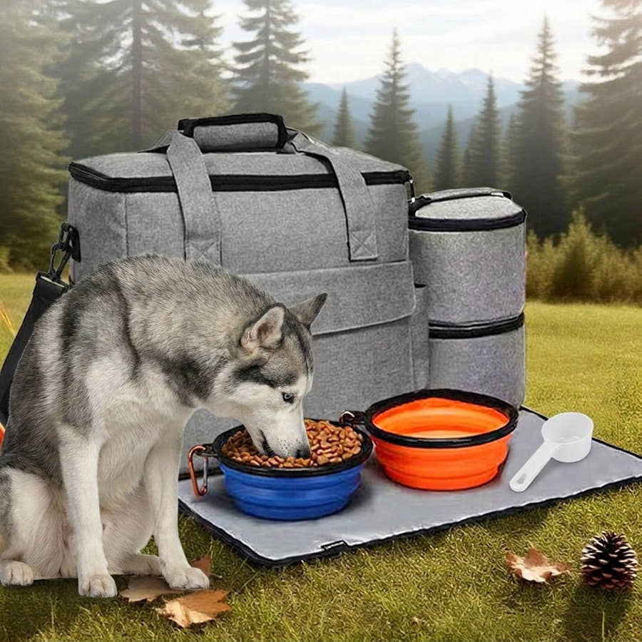 Husky qui mange dans la gamelle pliable posée sur le tapis du sac Yzavo