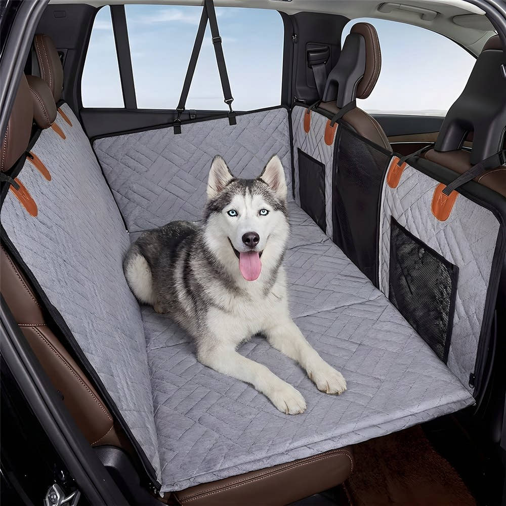 Husky couché directement sur la housse de protection matelassée, sans tapis